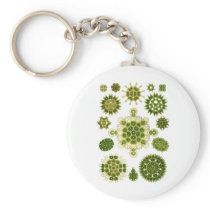 A Green Algae Key Chain