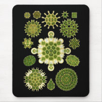 A Green Algae Mouse Pad