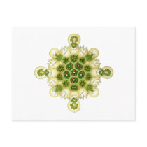 A Green Algae Postcards