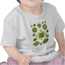 A Green Algae T-shirt