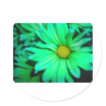 A Green Flower Round Stickers