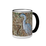 A Grey Heron waiting for a fish Mug