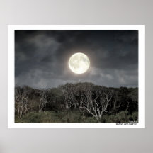 A Guana Night Poster