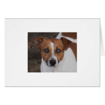 A. H. Airheart, Jack Russell, Mouse & Rat Killer Greeting Cards