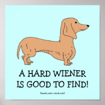 A Hard Wiener is Good To Find Poster
