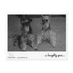 a haughty pair.. post cards