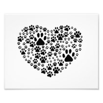 A Heart Made of Dog Paws Photographic Print