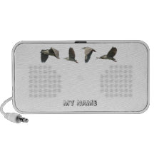 A Heron flies across your Speakers