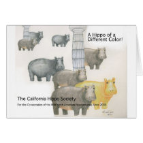 A Hippo of a Differnt Colour!