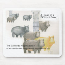 A Hippo of a Differnt Colour!