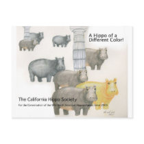 A Hippo of a Differnt Colour!