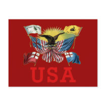 A History of American Flags on a Tshirt Post Cards