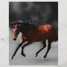 A horse called Riboking Full Color Flyer
