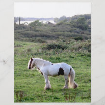 A Horse Flyer