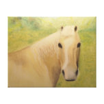 A Horse I Knew Stretched Canvas Print