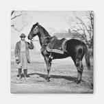 A Horse Named Cincinnati, 1865 Refrigerator Magnet