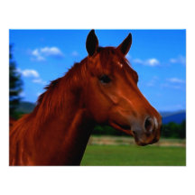 A horse standing proud custom invite