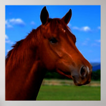 A horse standing proud poster