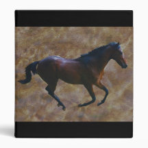 A horses gait 3 ring binders