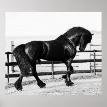 A horses humility poster