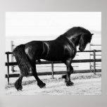 A horses humility poster