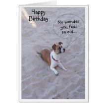 A Humourous Birthday Card Dog