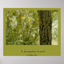 A Jerusalem forest, by Shahar Stein Posters