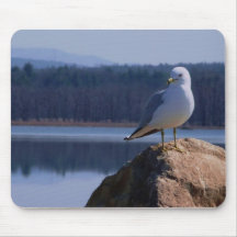 A Lake Champlain Sea Gull Mouse Pad