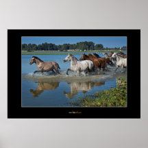 A Lake of Wild Horses Poster