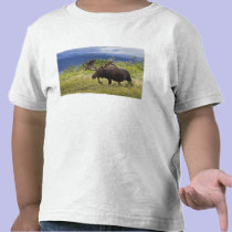 A large bull moose stands among willows t-shirts