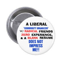 A LIBERAL "COMMUNITY ORGANIZER" W/ ZERO EXPERIENCE PINS