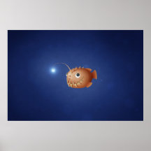 A Little Anglerfish Poster