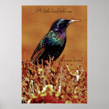 A Little Bird Told Me Starling Bird Print