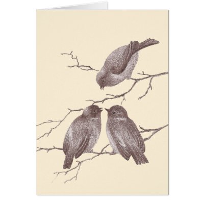 A Little Bird Told Me: Winter Birds Antique Sketch Cards by AntiqueImages