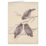 A Little Bird Told Me: Winter Birds Antique Sketch Cards