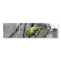 A little Bird Whispered In My Ear Bumper Sticker