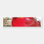 A Little Birdie Told Me Bumper Sticker