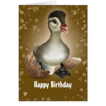 A Little Duck Greeting Card