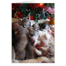 A Long Winter's Nap Corgi Puppy Christmas Cards