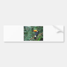 A lovely clothing with a lovely creature bumper sticker
