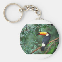 A lovely clothing with a lovely creature key chain