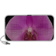A lovely delicate Violet flower. Laptop Speakers