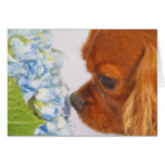 A Lovely Sweet Moment Greeting Card