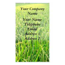 A Lush Green Rice Field with Ripe Ears of Rice Business Card Templates