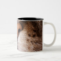 A macro image of a cat's nose and mouth. mug