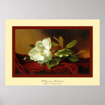 A Magnolia on Red Velvet~ Martin Johnson Heade Posters