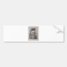 A Man of the Sandwich Islands in a Mask Bumper Stickers