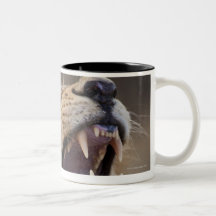 A mature male lion (Panthera leo) in the Savuti Coffee Mugs