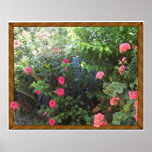 A Mediterranean Garden in Algorfa, Alicante Posters