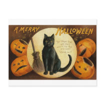 A Merry Halloween Cat Card Postcard